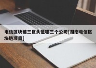 电信区块链三巨头是哪三个公司[湖南电信区块链项目]